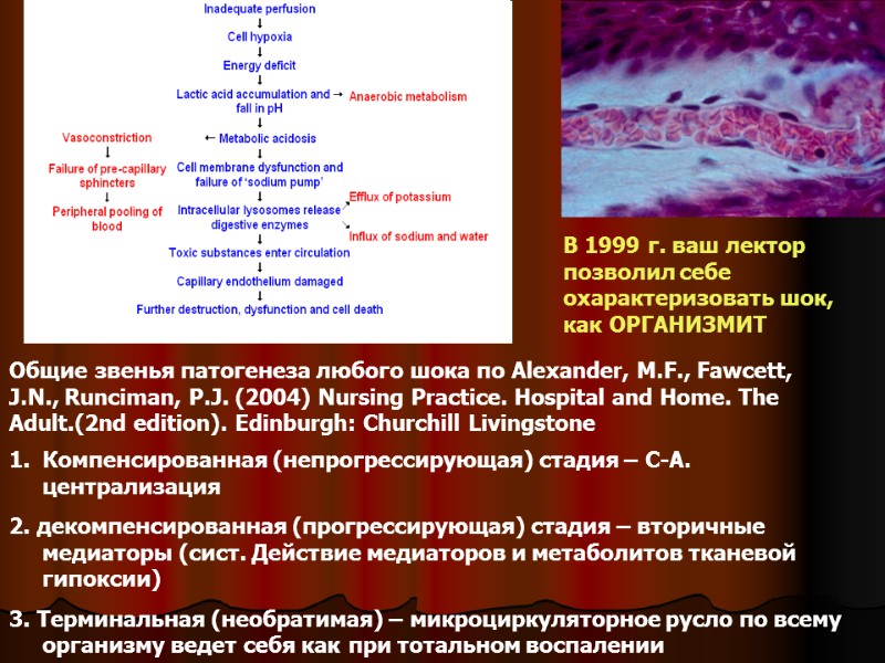 Общие звенья патогенеза любого шока по Alexander, M.F., Fawcett, J.N., Runciman, P.J. (2004) Nursing